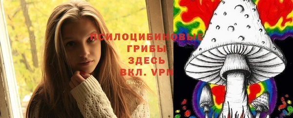 амф Балахна