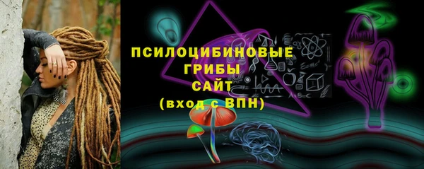 амф Балахна