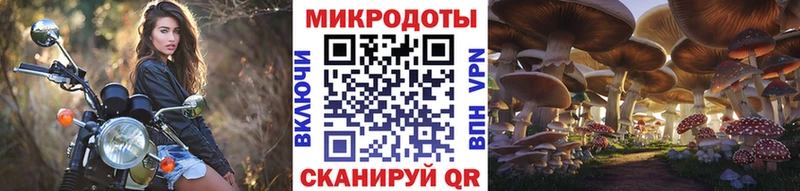 Псилоцибиновые грибы прущие грибы  что такое наркотик  Пенза 